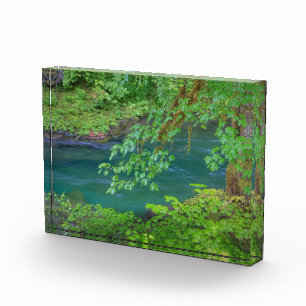 Olympic National Park Washington State Photo Block