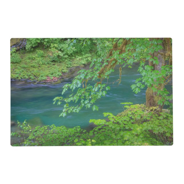 Olympic National Park Washington State Placemat (Front)