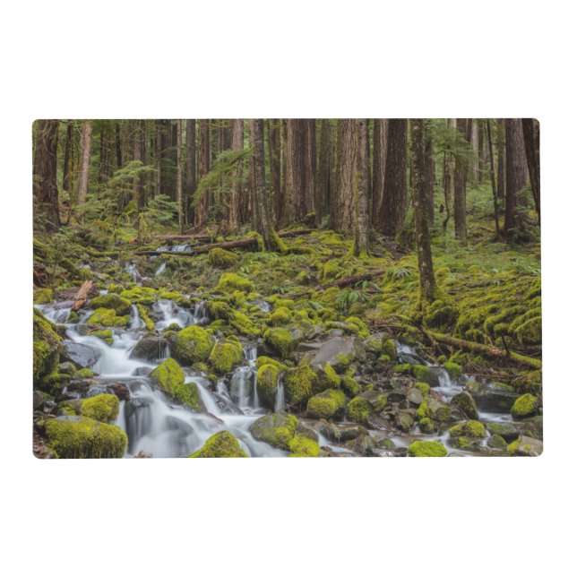 Olympic National Park, Washington State Placemat (Front)