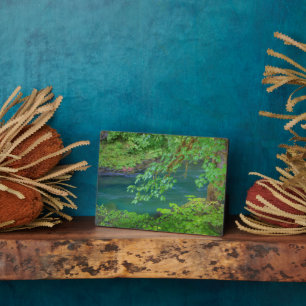 Olympic National Park Washington State Plaque