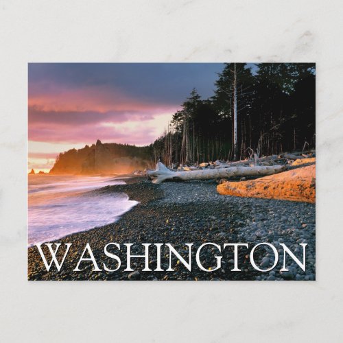 Olympic National Park  Washington State Postcard