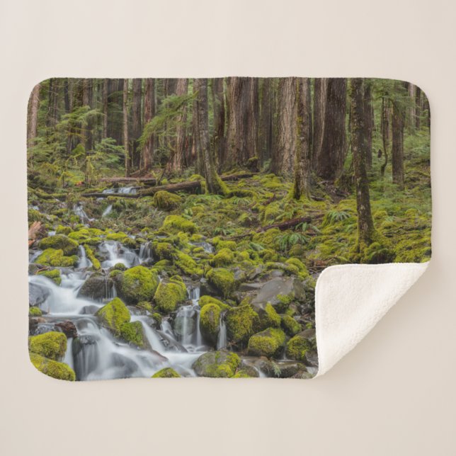 Olympic National Park, Washington State Sherpa Blanket (Front (Horizontal))