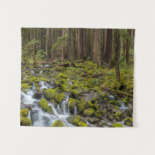 Olympic National Park, Washington State Tapestry (Front (Horizontal))