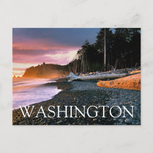 Olympic National Park Washington State Thank You Postcard