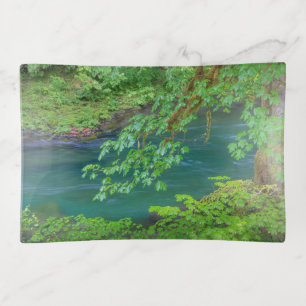 Olympic National Park Washington State Trinket Tray