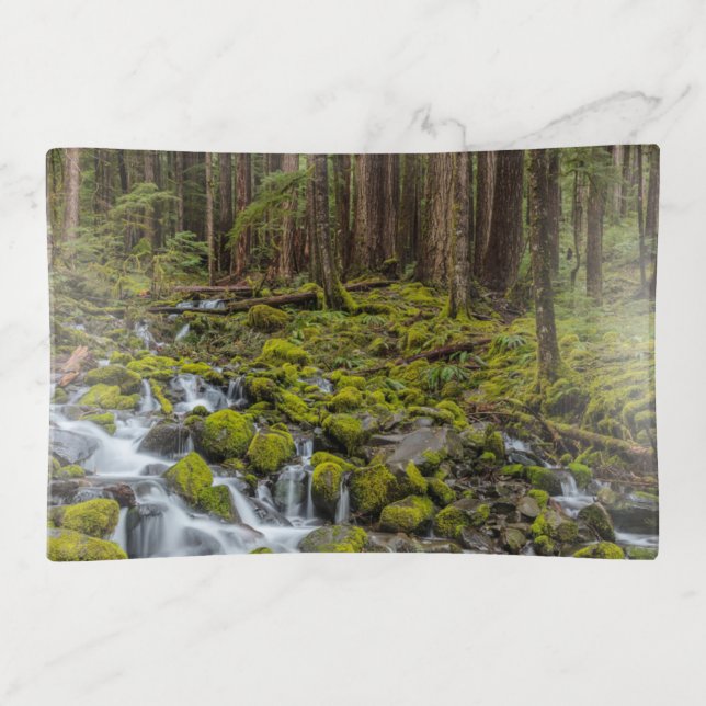 Olympic National Park, Washington State Trinket Tray (Front)