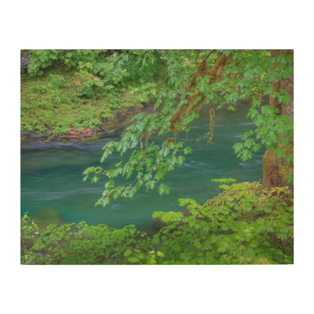 Olympic National Park Washington State Wood Wall Art (Front)