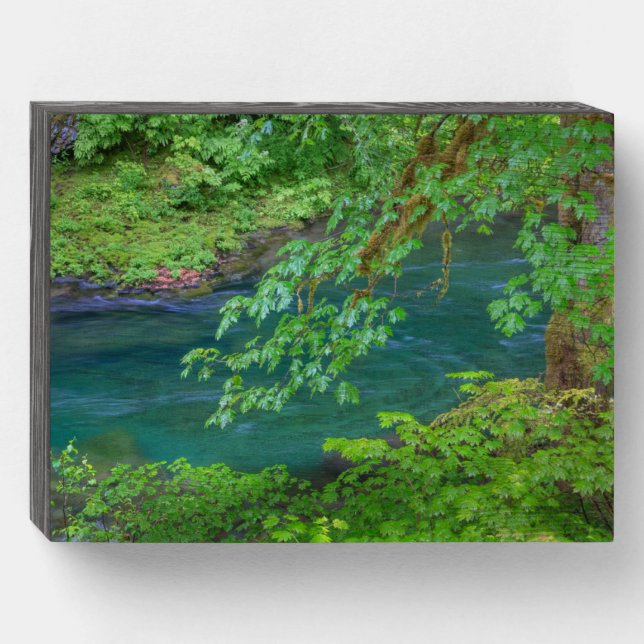 Olympic National Park Washington State Wooden Box Sign (Front Horizontal)