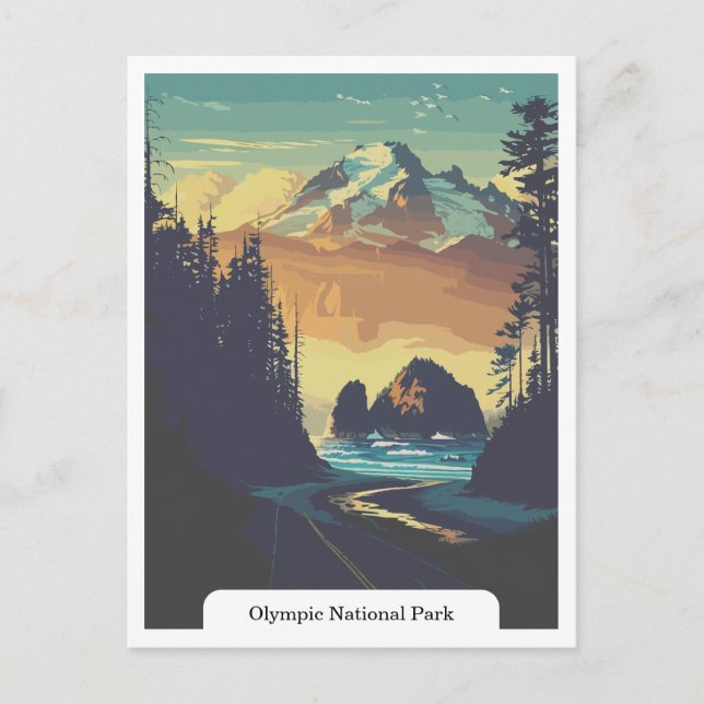 Olympic National Park, Washington USA Postcard (Front)