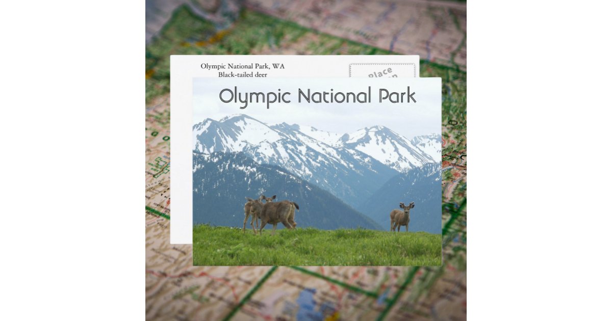 Olympic national park postcard