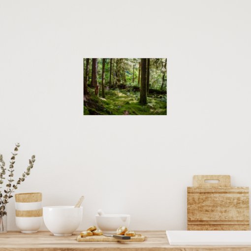 Olympic Peninsula Rainforest Poster | Zazzle