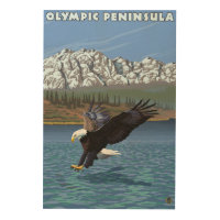 Olympic Peninsula, WashingtonFishing Eagle