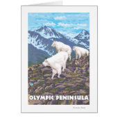 Olympic Peninsula, WashingtonMountain Goats (Front)