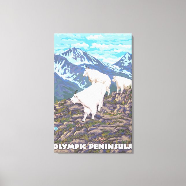 Olympic Peninsula, WashingtonMountain Goats Canvas Print (Front)