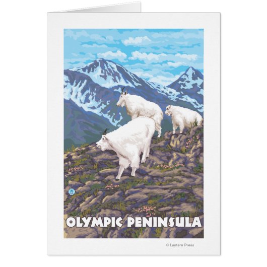 Olympic Peninsula, WashingtonMountain Goats Cards (Front)
