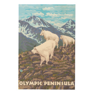 Olympic Peninsula, WashingtonMountain Goats Wood Wall Art