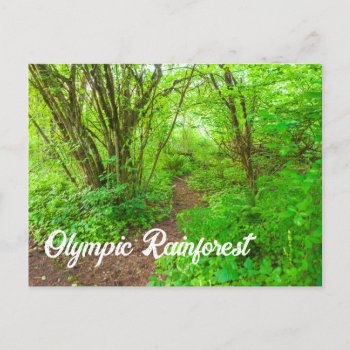 Olympic Rainforest Postcard by bluerabbit at Zazzle