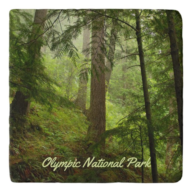 Olympic Rainforest Woodland Photo Trivet (Front)
