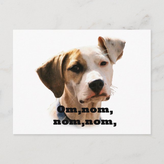 Om, nom, nom, nom, postcard (Front)