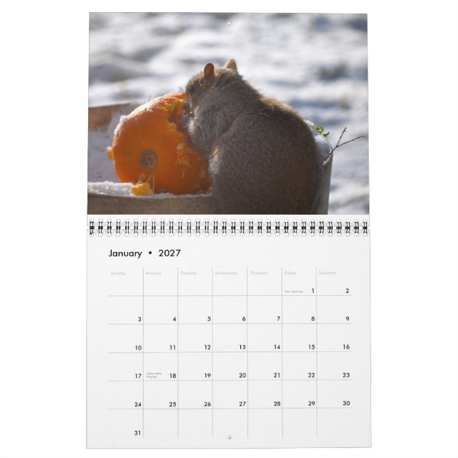 Om Nom Squirrel 2013 Calendar (Jan 2027)