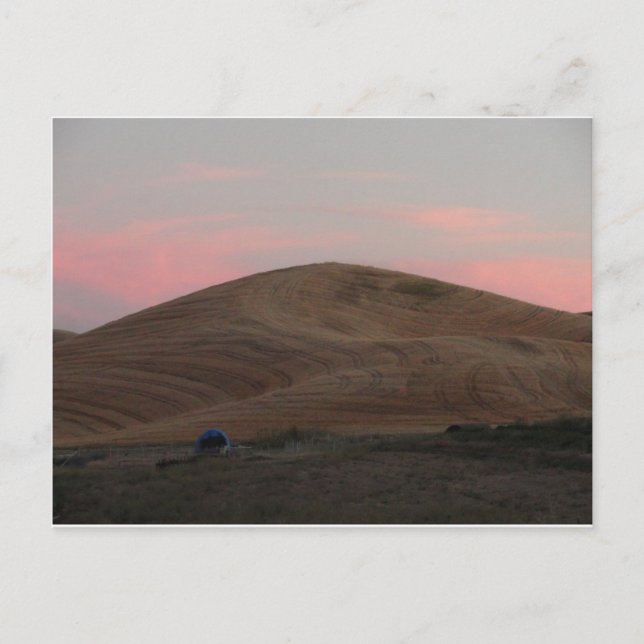 Omache Farm Sunset Postcard (Front)