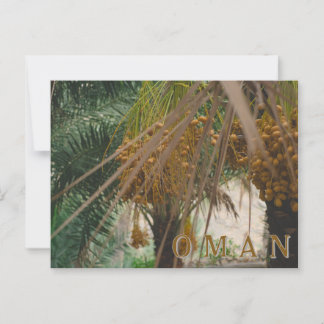 Oman date palm postcard