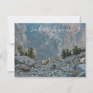 Oman Jabal Shams postcard