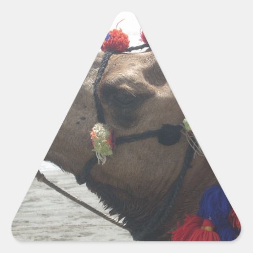 Oman  Masqat Desert Majesty Adorned Camel Safari Triangle Sticker
