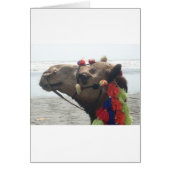 Oman! Muscat (Front)