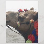 Oman! Muscat (Front)