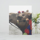 Oman! Muscat (Standing Front)