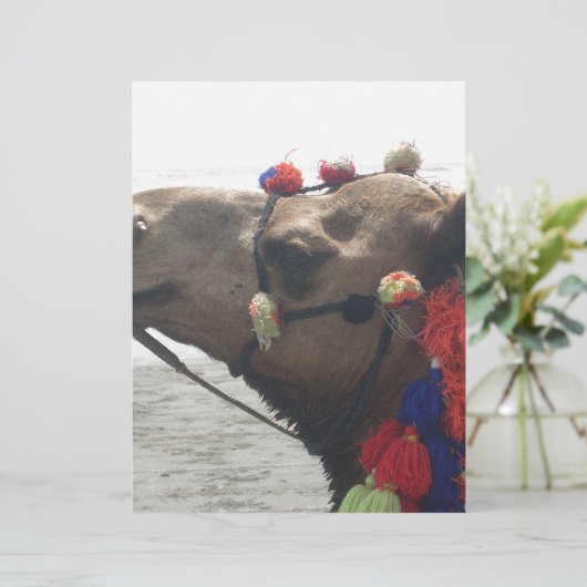 Oman! Muscat (Standing Front)