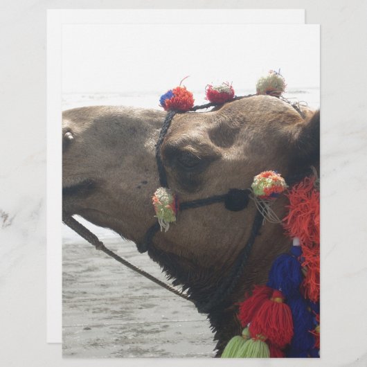 Oman! Muscat (Front/Back)