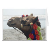 Oman! Muscat (Front Horizontal)