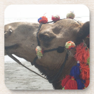 Oman Muscat Camel Photo Art Print Beverage Coaster