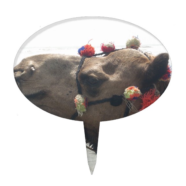 Oman Muscat Camel Photo Art Print Cake Topper (Front)