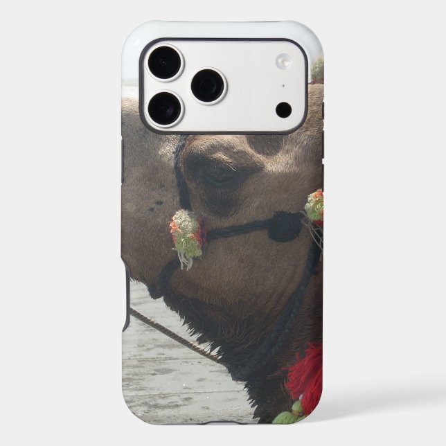 Oman Muscat Camel Photo Art Print Case-Mate iPhone Case (Back)