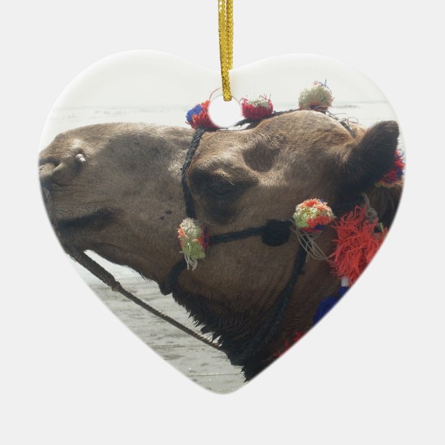 Oman Muscat Camel Photo Art Print Ceramic Ornament (Front)