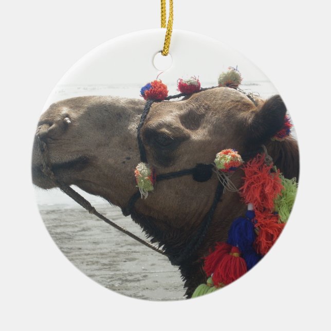 Oman Muscat Camel Photo Art Print Ceramic Ornament (Front)