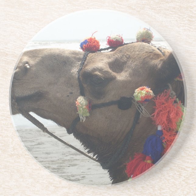 Oman Muscat Camel Photo Art Print Drink Coaster (Front)