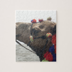Oman Muscat Camel Photo Art Print Jigsaw Puzzle