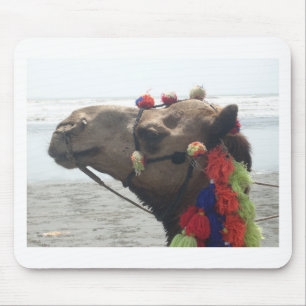 Oman Muscat Camel Photo Art Print Mouse Pad