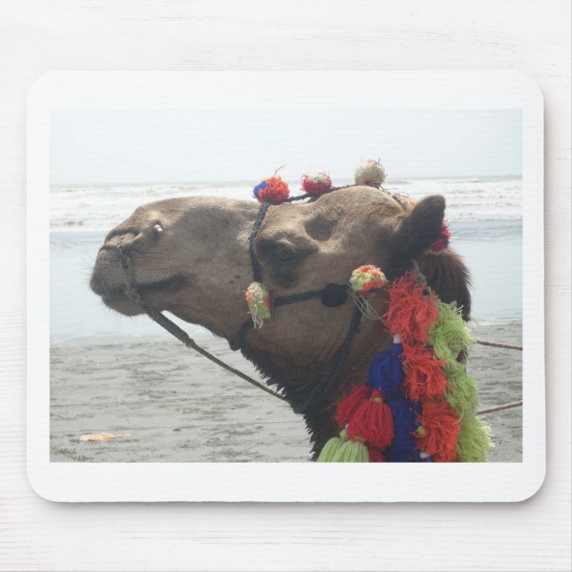 Oman Muscat Camel Photo Art Print Mouse Pad (Front)