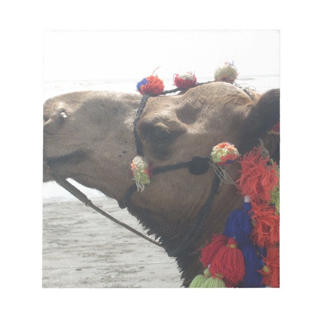 Oman Muscat Camel Photo Art Print Notepad (Front)