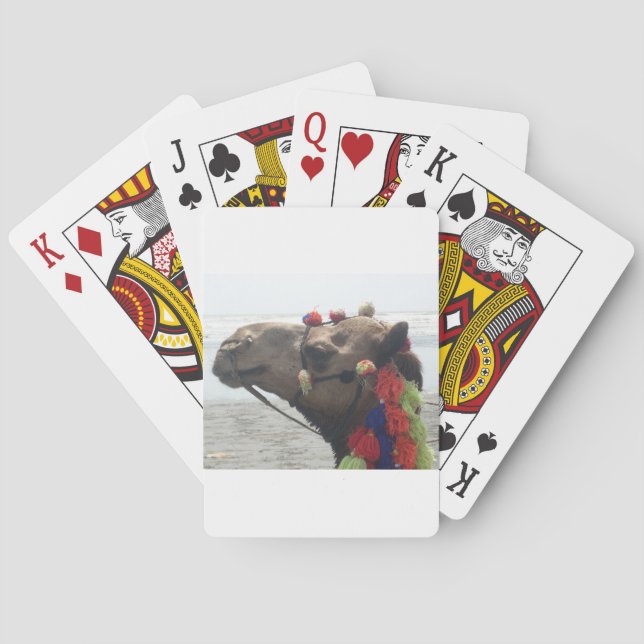 Oman Muscat Camel Photo Art Print Poker Cards (Back)