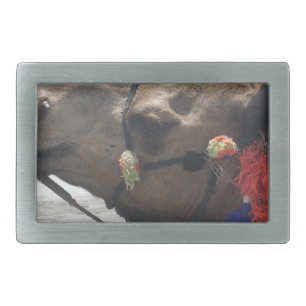 Oman Muscat Camel Photo Art Print Rectangular Belt Buckle