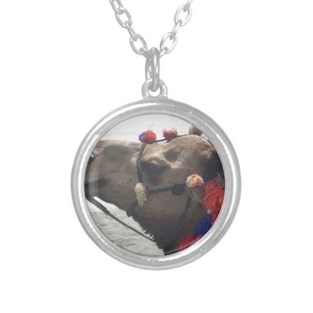 Oman Muscat Camel Photo Art Print Silver Plated Necklace (Front)