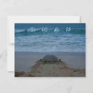 Oman turtle postcard
