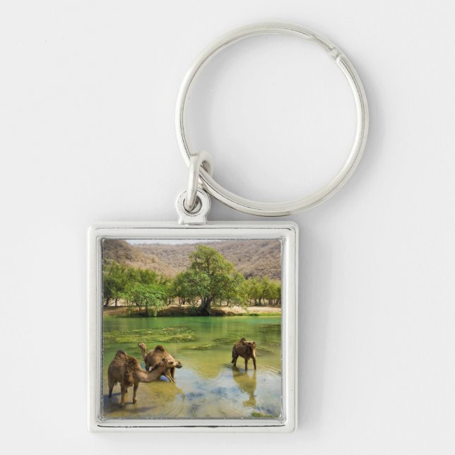 Oman, Wadi darbat Keychain (Front)