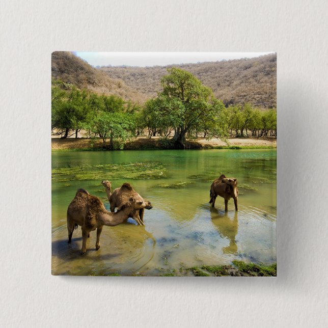 Oman, Wadi darbat Pinback Button (Front)